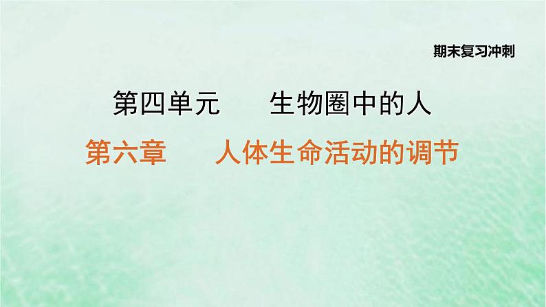 人教版七年级生物下册期末复习冲刺第6章人体生命活动的调节课件01