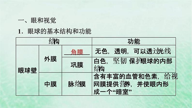 人教版七年级生物下册期末复习冲刺第6章人体生命活动的调节课件02