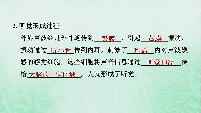 人教版七年级生物下册期末复习冲刺第6章人体生命活动的调节课件07