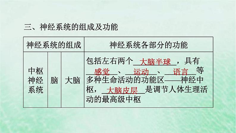 人教版七年级生物下册期末复习冲刺第6章人体生命活动的调节课件08