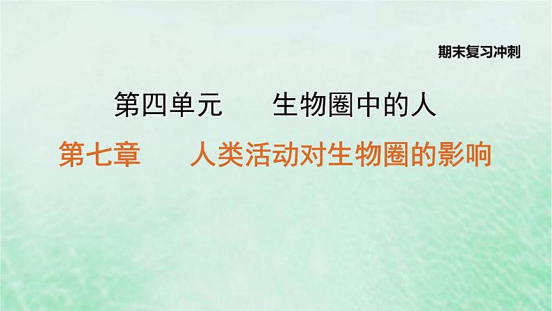 人教版七年级生物下册期末复习冲刺第7章人类活动对生物圈的影响课件01