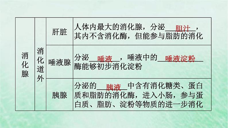 人教版七年级生物下册第4单元生物圈中的人第2章人体的营养第2节消化和吸收第1课时食物的消化3课件05