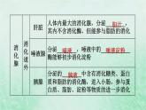 人教版七年级生物下册第4单元生物圈中的人第2章人体的营养第2节消化和吸收第1课时食物的消化3课件