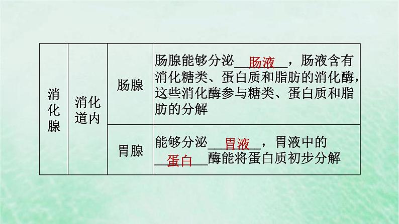 人教版七年级生物下册第4单元生物圈中的人第2章人体的营养第2节消化和吸收第1课时食物的消化3课件06