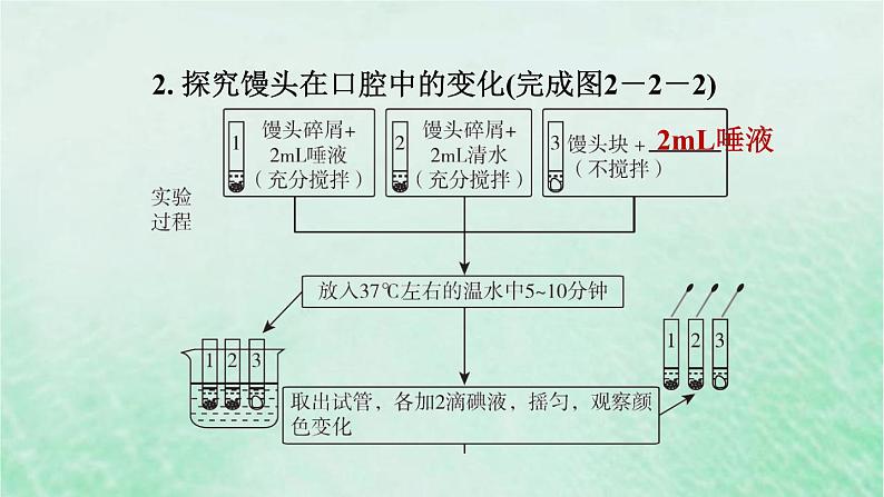 人教版七年级生物下册第4单元生物圈中的人第2章人体的营养第2节消化和吸收第1课时食物的消化3课件07