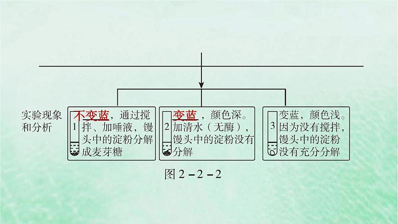 人教版七年级生物下册第4单元生物圈中的人第2章人体的营养第2节消化和吸收第1课时食物的消化3课件08