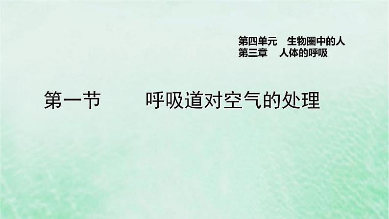 人教版七年级生物下册第4单元生物圈中的人第3章人体的呼吸第1节呼吸道对空气的处理3课件第1页