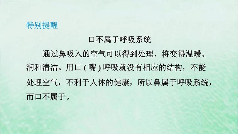 人教版七年级生物下册第4单元生物圈中的人第3章人体的呼吸第1节呼吸道对空气的处理3课件第8页