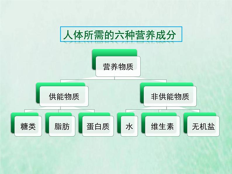 人教版七年级生物下册第4单元生物圈中的人第2章人体的营养第1节食物中的营养物质第1课时三大有机营养物质和能量课件06