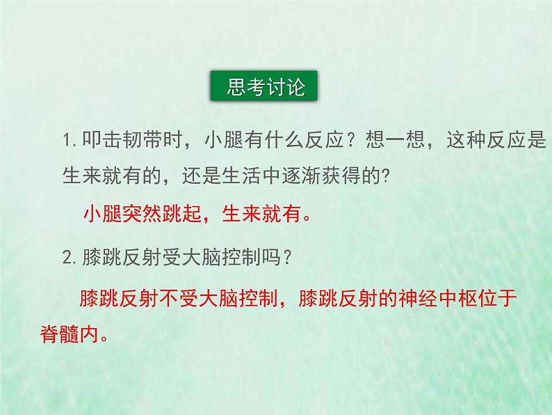 人教版七年级生物下册第4单元生物圈中的人第6章人体生命活动的调节第3节神经调节的基本方式课件第5页