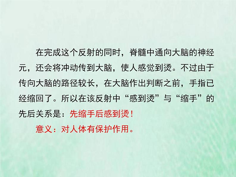 人教版七年级生物下册第4单元生物圈中的人第6章人体生命活动的调节第3节神经调节的基本方式课件第8页