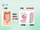 人教版七年级生物下册第4单元生物圈中的人第2章人体的营养第2节消化和吸收第2课时营养物质的吸收课件