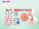 人教版七年级生物下册第4单元生物圈中的人第3章人体的呼吸第1节呼吸道对空气的处理课件