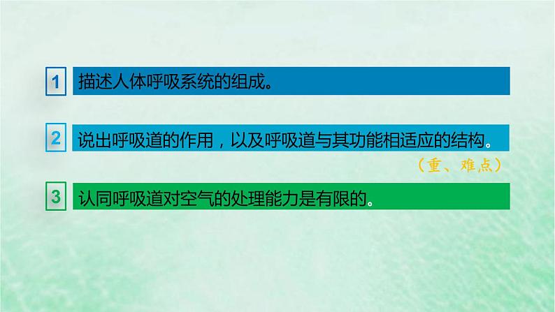 人教版七年级生物下册第4单元生物圈中的人第3章人体的呼吸第1节呼吸道对空气的处理课件第3页