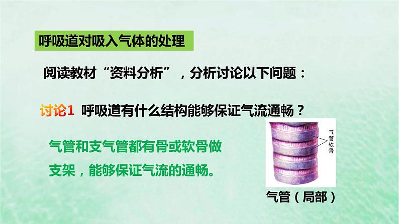 人教版七年级生物下册第4单元生物圈中的人第3章人体的呼吸第1节呼吸道对空气的处理课件第7页