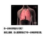 人教版七年级生物下册第4单元生物圈中的人第3章人体的呼吸第2节发生在肺内的气体交换课件