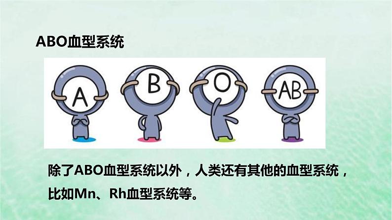 人教版七年级生物下册第4单元生物圈中的人第4章人体内物质的运输第4节输血与血型课件08