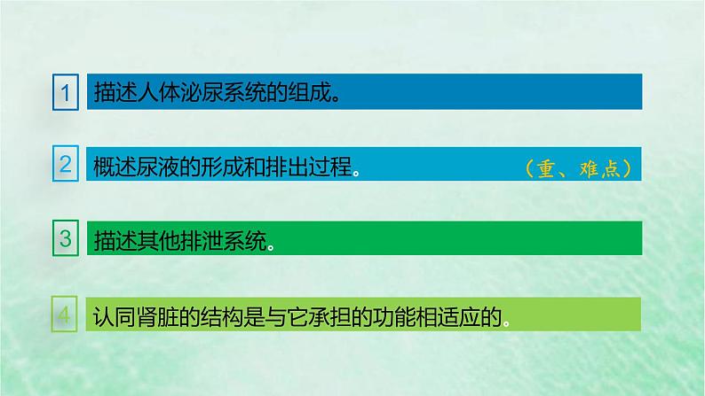 人教版七年级生物下册第4单元生物圈中的人第5章人体内废物的排出课件03