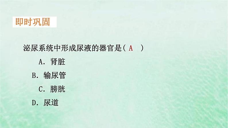 人教版七年级生物下册第4单元生物圈中的人第5章人体内废物的排出课件08