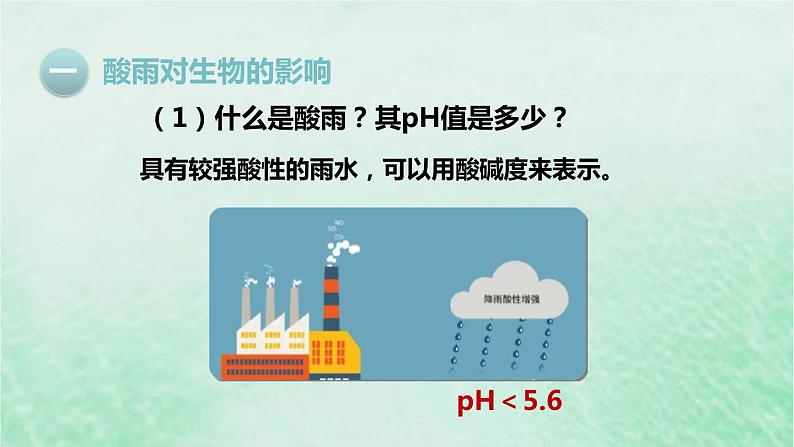 人教版七年级生物下册第4单元生物圈中的人第7章人类活动对生物圈的影响第2节探究环境污染对生物的影响课件第4页