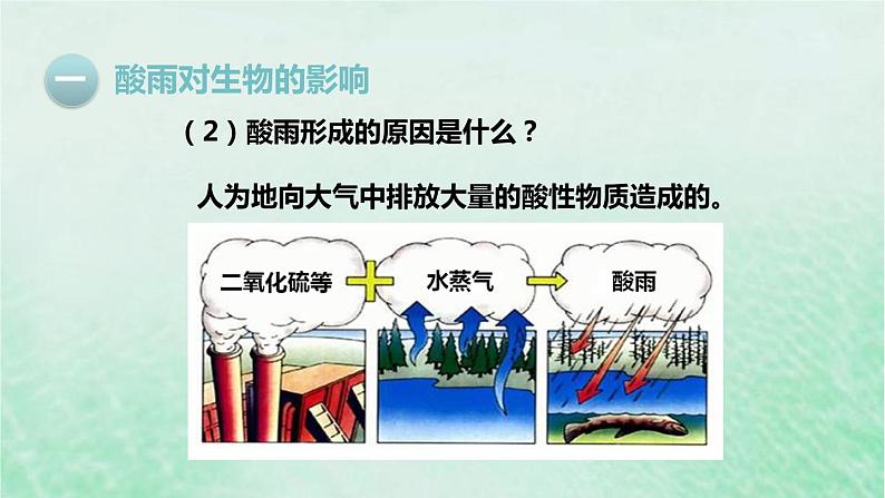 人教版七年级生物下册第4单元生物圈中的人第7章人类活动对生物圈的影响第2节探究环境污染对生物的影响课件第5页