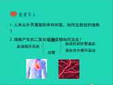 2022年北师大版生物七年级下册同步教学课件第4单元生物圈中的人第9章人体内的物质运输第1节血液