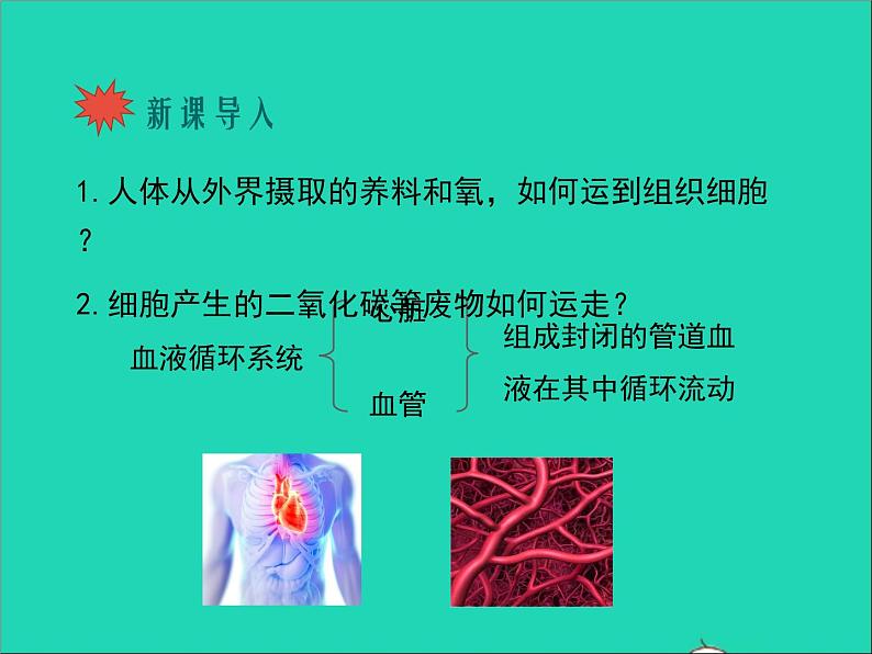 2022年北师大版生物七年级下册同步教学课件第4单元生物圈中的人第9章人体内的物质运输第1节血液02