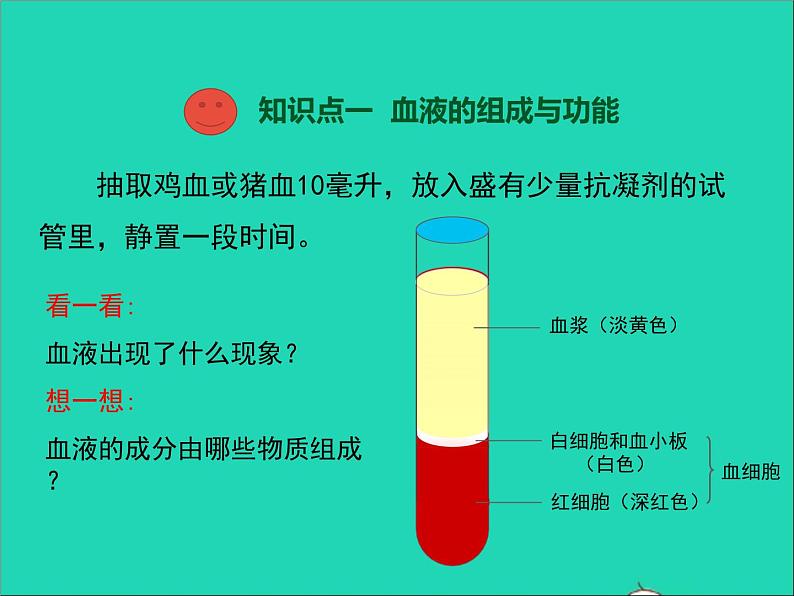 2022年北师大版生物七年级下册同步教学课件第4单元生物圈中的人第9章人体内的物质运输第1节血液03