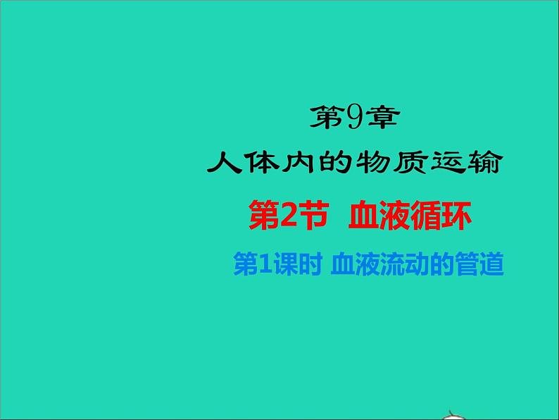 2022年北师大版生物七年级下册同步教学课件第4单元生物圈中的人第9章人体内的物质运输第2节血液循环第1课时血液流动的管道第1页