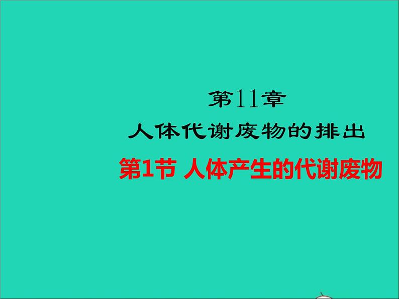 2022年北师大版生物七年级下册同步教学课件第4单元生物圈中的人第11章人体代谢废物的排出第1节人体产生的代谢废物01