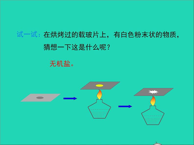 2022年北师大版生物七年级下册同步教学课件第4单元生物圈中的人第11章人体代谢废物的排出第1节人体产生的代谢废物04