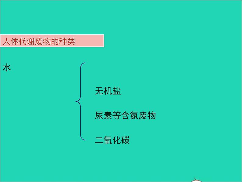 2022年北师大版生物七年级下册同步教学课件第4单元生物圈中的人第11章人体代谢废物的排出第1节人体产生的代谢废物05