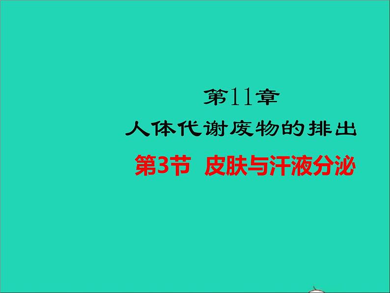 2022年北师大版生物七年级下册同步教学课件第4单元生物圈中的人第11章人体代谢废物的排出第3节皮肤与汗液分泌01