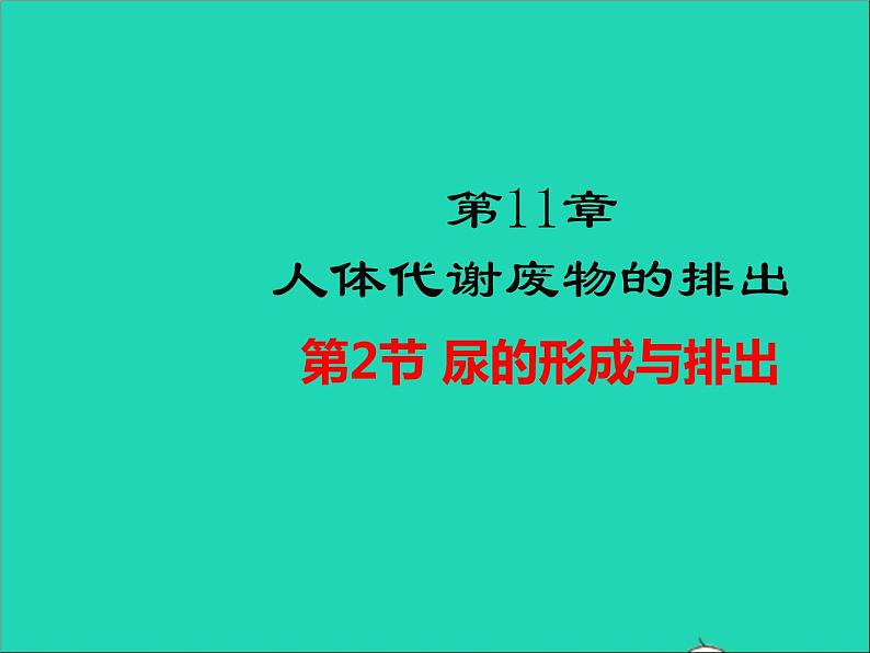 2022年北师大版生物七年级下册同步教学课件第4单元生物圈中的人第11章人体代谢废物的排出第2节尿的形成与排出01