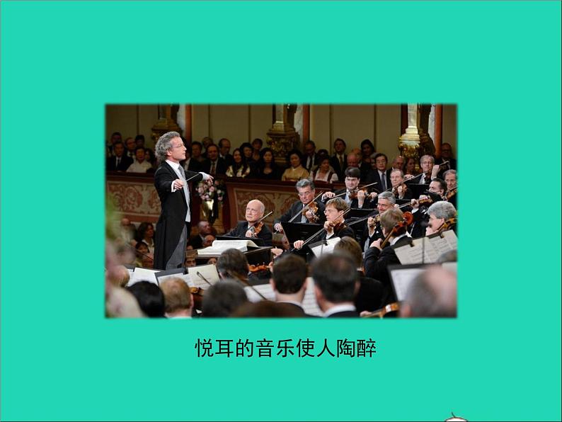 2022年北师大版生物七年级下册同步教学课件第4单元生物圈中的人第12章人体的自我调节第2节感受器和感觉器官第2课时听觉其他感受器04