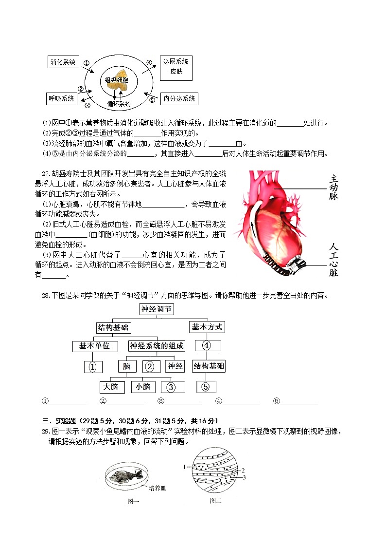 湖南省长沙市明德教育集团2021-2022学年七年级下学期期末考试生物试题(word版含答案)03