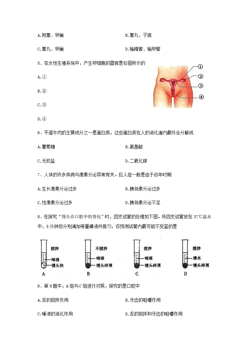 山西省太原市2021-2022学年七年级下学期期末考试生物试题(word版含答案)02