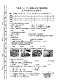 湖南省永州市宁远县2021-2022学年七年级下学期期末质量监测生物试题(word版含答案)