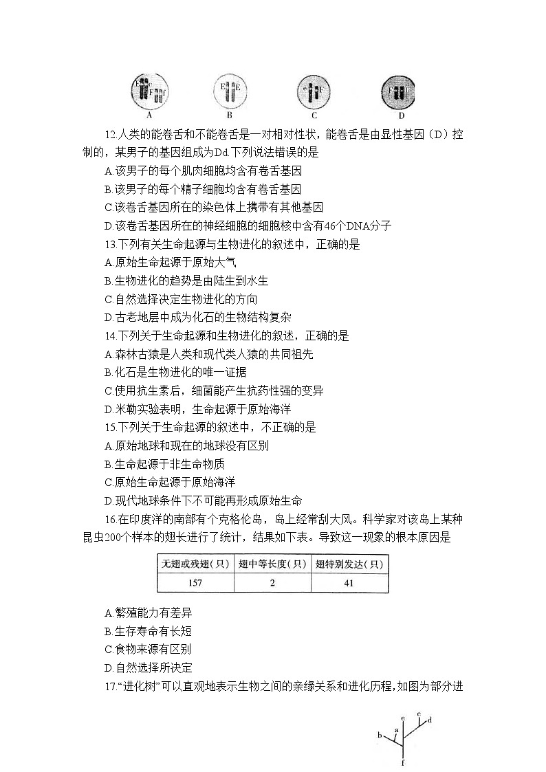 山东省招远市2021-2022学年八年级下学期期末考试生物试题(word版含答案)03