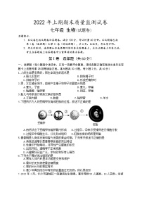 湖南省永州市新田县2021-2022学年七年级下学期期末质量监测生物试题(word版含答案)