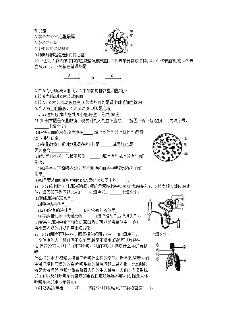 河南省新乡市封丘县2021-2022学年七年级下学期终结性评价测试生物试题(word版含答案)03