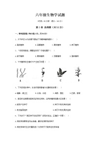 山东省淄博市沂源县2021-2022学年六年级下学期期末考试生物试题(word版含答案)