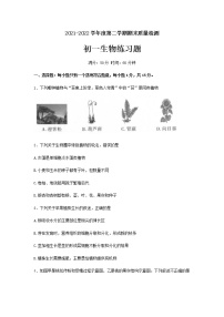 山东省泰安市高新区2021-2022学年六年级（五四制）下学期期末生物试题(word版含答案)