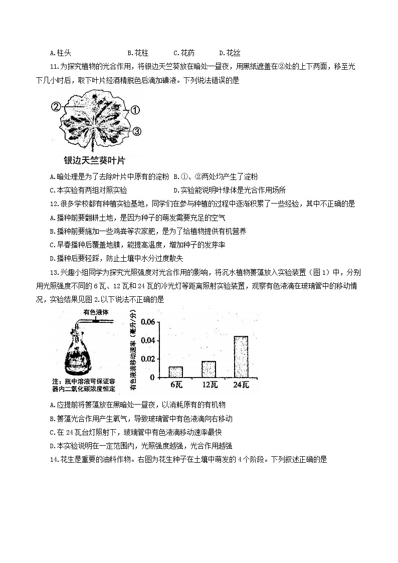 山东省东营市广饶县2021-2022学年六年级下学期期末考试生物试题(word版含答案)03