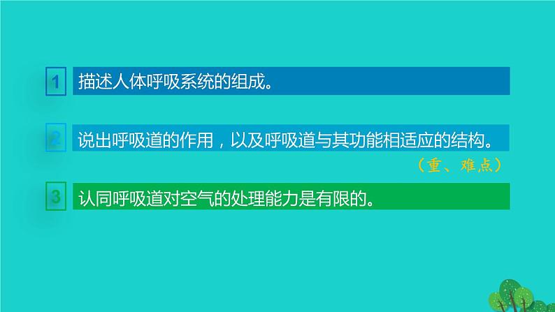 人教版七年级生物下册第4单元生物圈中的人第3章人体的呼吸第1节呼吸道对空气的处理2课件第3页