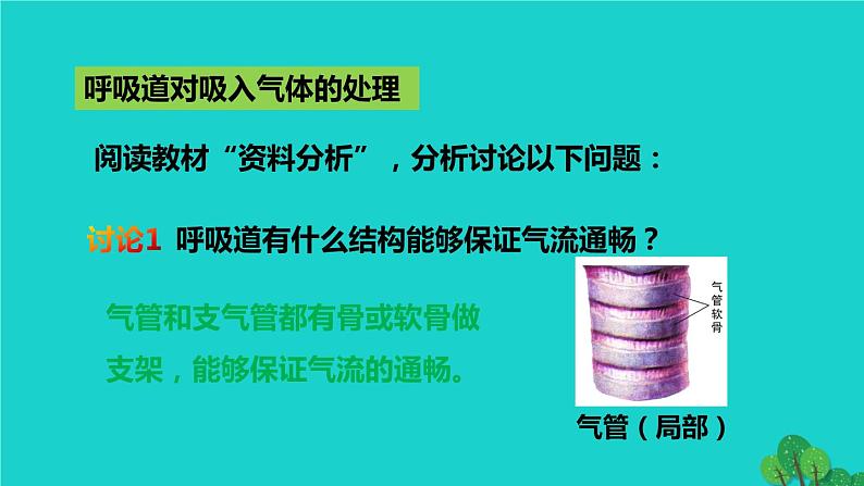 人教版七年级生物下册第4单元生物圈中的人第3章人体的呼吸第1节呼吸道对空气的处理2课件第7页