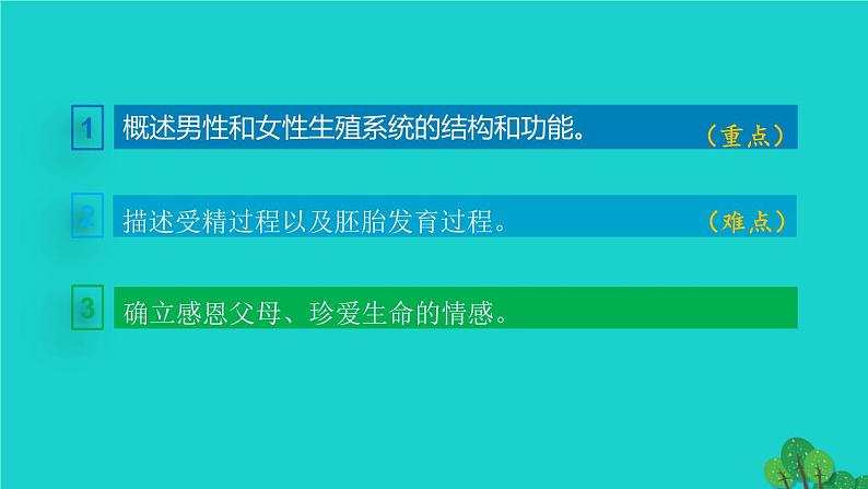 人教版七年级生物下册第4单元生物圈中的人第1章人的由来第2节人的生殖1课件03