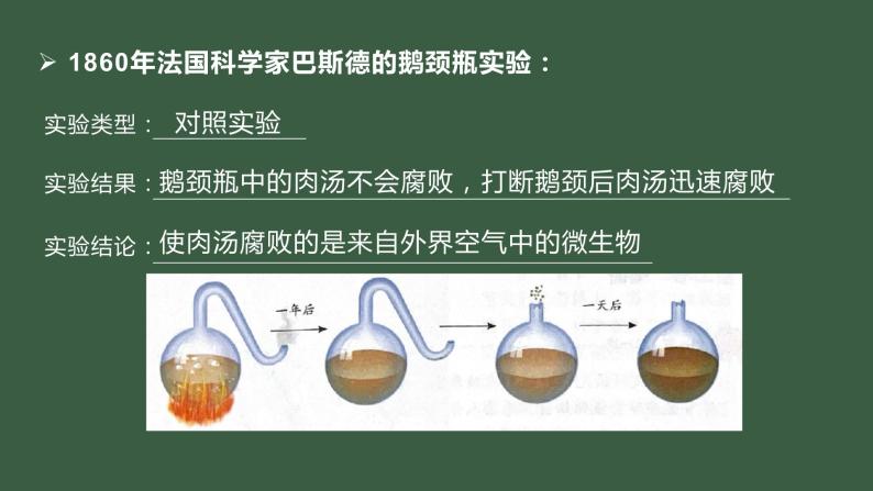 初中 初二 生物  《地球上生命的起源》 课件06