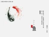 初中 初二 生物  鱼  课件