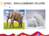 初中 初二 生物 《哺乳动物》 课件